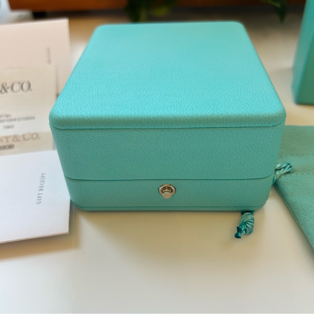 Tiffany & Co Elsa Peretti Amethyst Necklace & Stud Earrings Set  Unworn - Picture 8 of 8